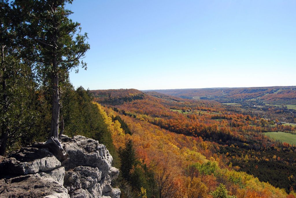 Grey Highlands Homes In Grey Real Estate Heather McTaggart REALTOR®